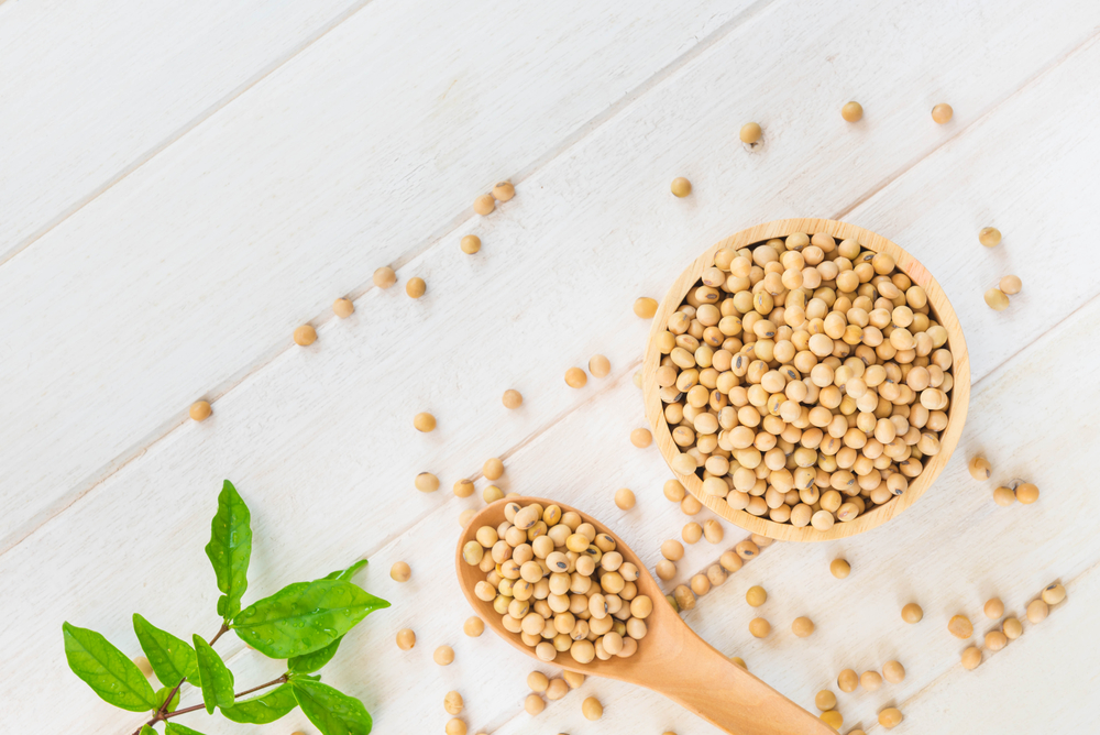 La exportación de soja en Brasil se prevé que bata récord en 2018