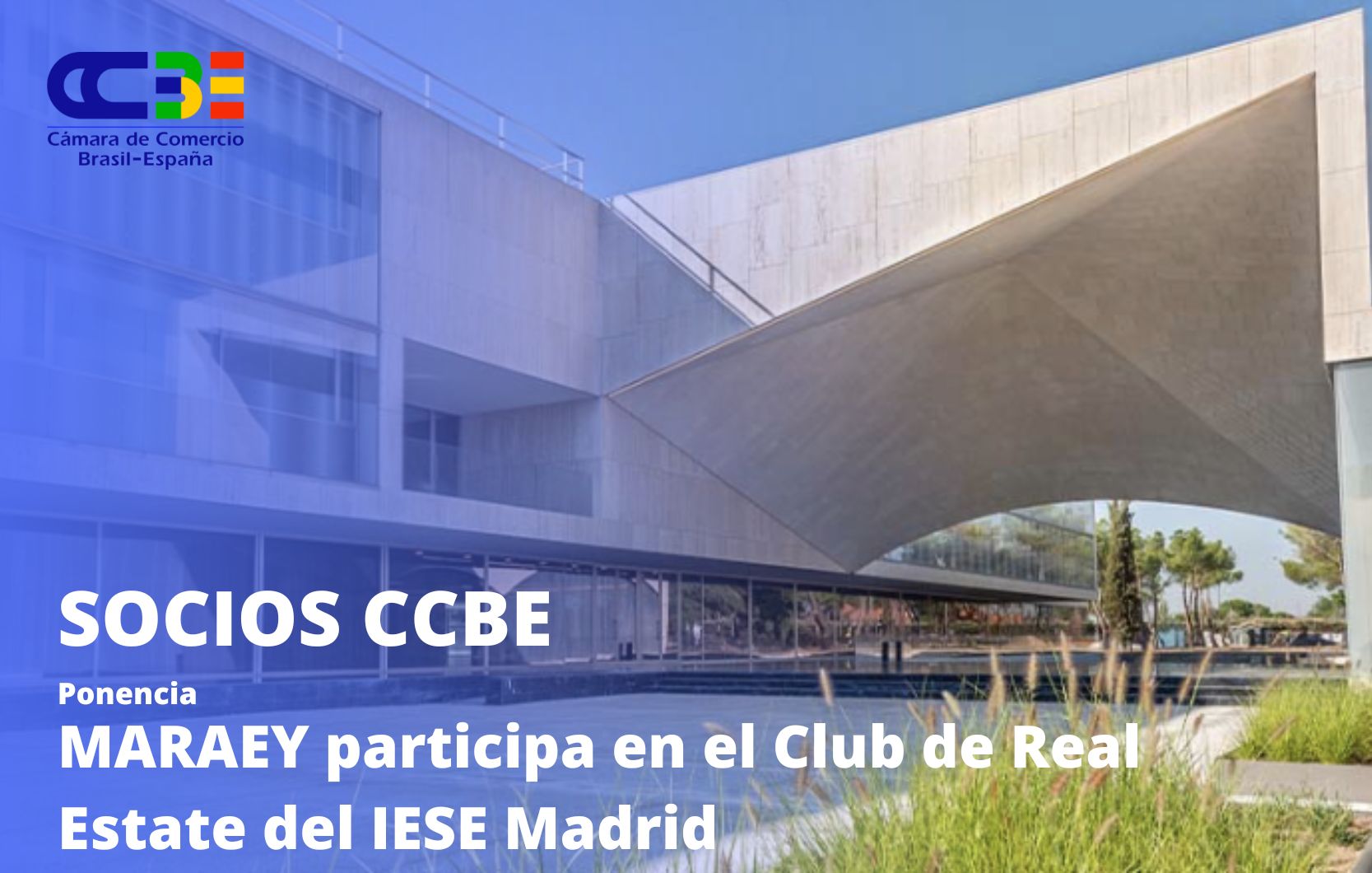 Nuestro Socio Maraey participa en el Club Real Estate del IESE Madrid