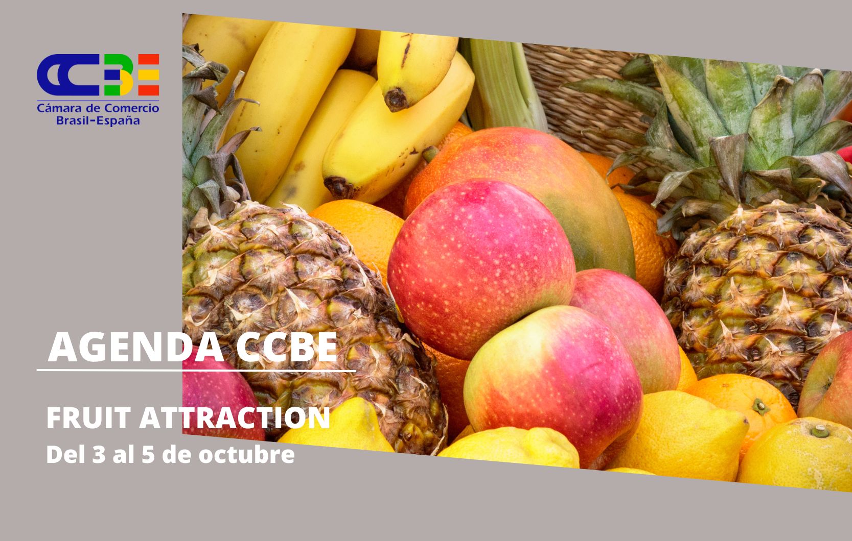 CCBE en Fruit Attraction