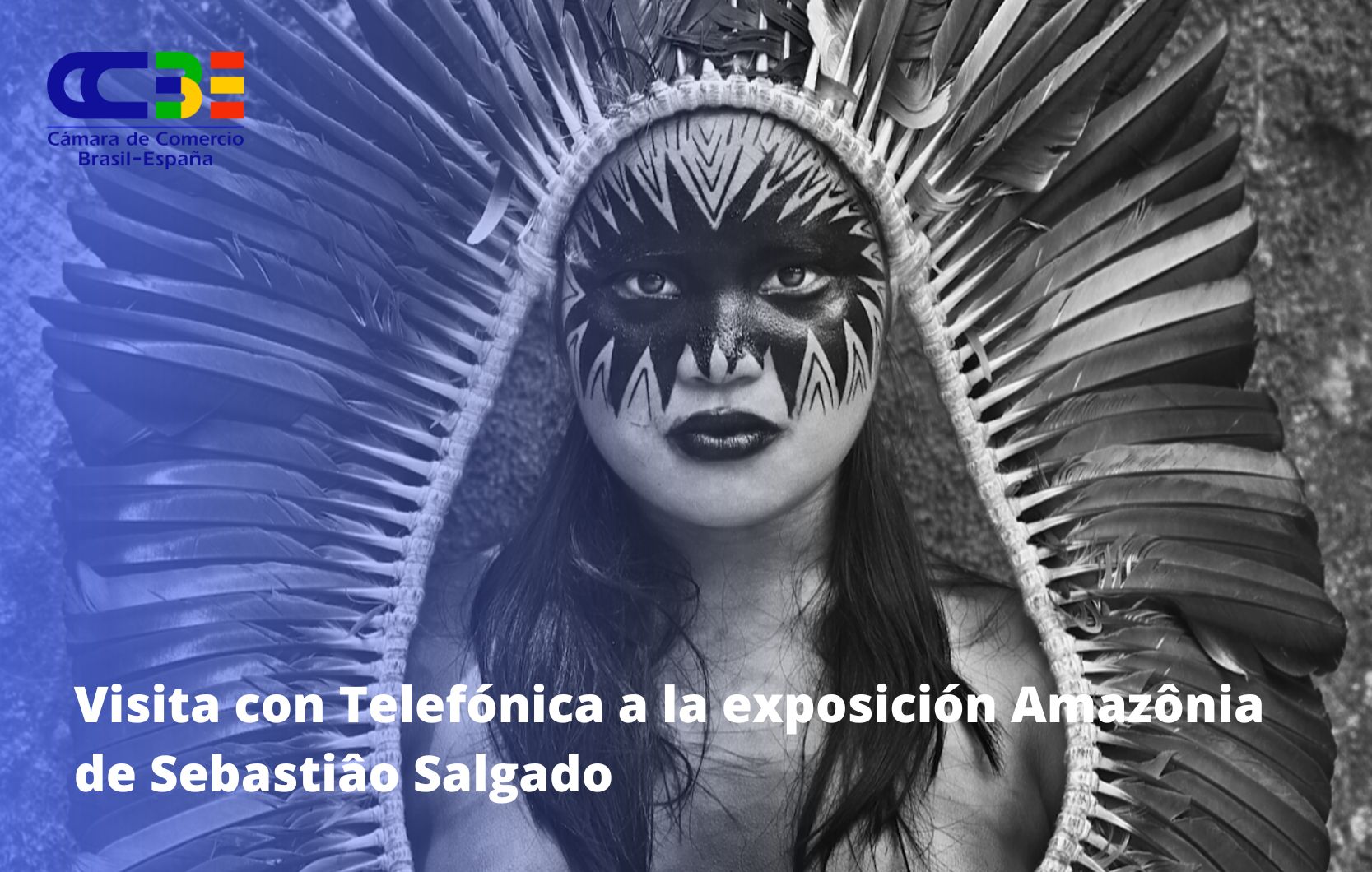 La junta directiva de la CCBE visita la exposición Amazônia de Sebastião Salgado en el marco del centenario de Telefónica