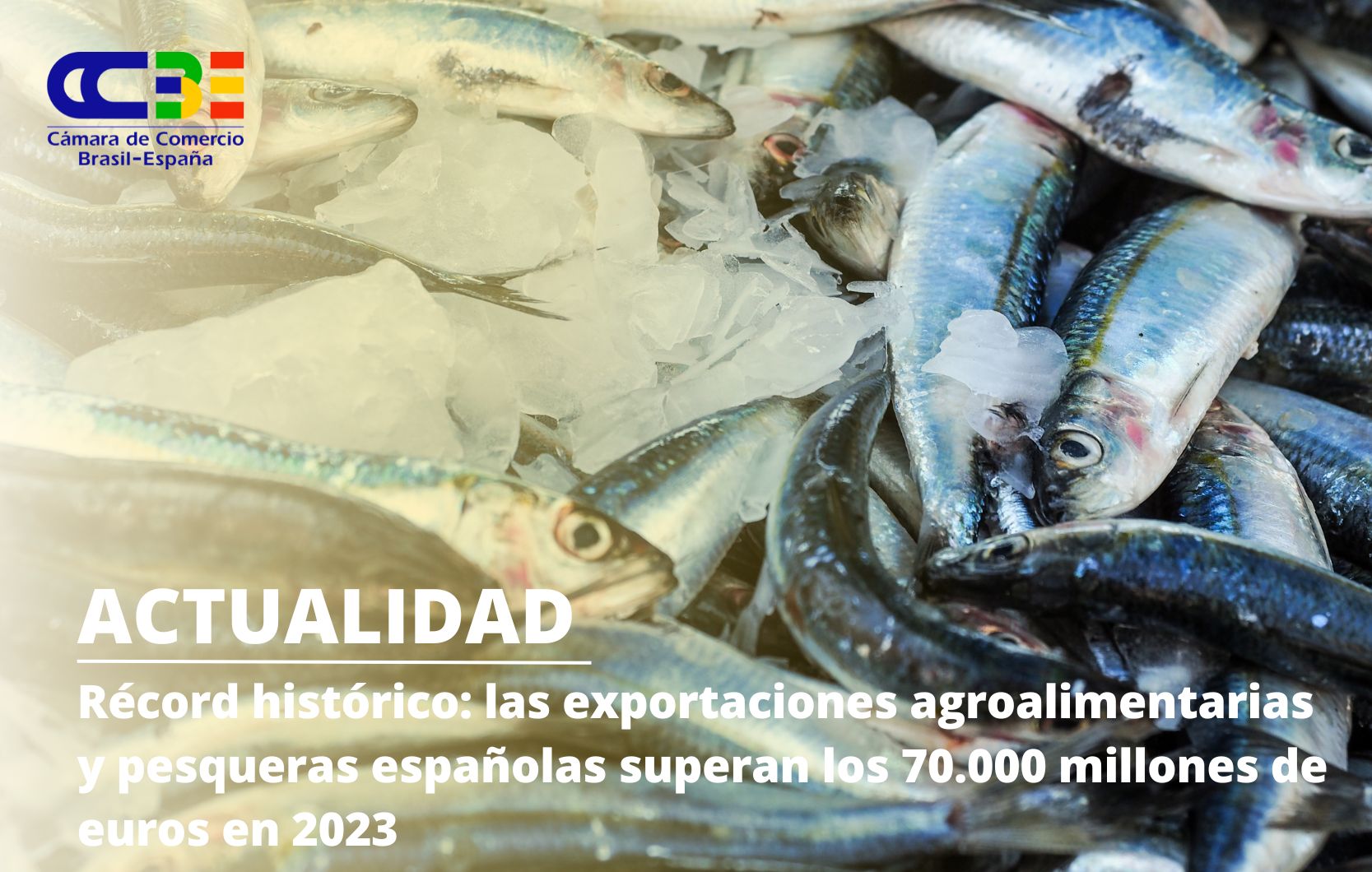 Récord histórico: las exportaciones agroalimentarias y pesqueras españolas superan los 70.000 millones de euros en 2023