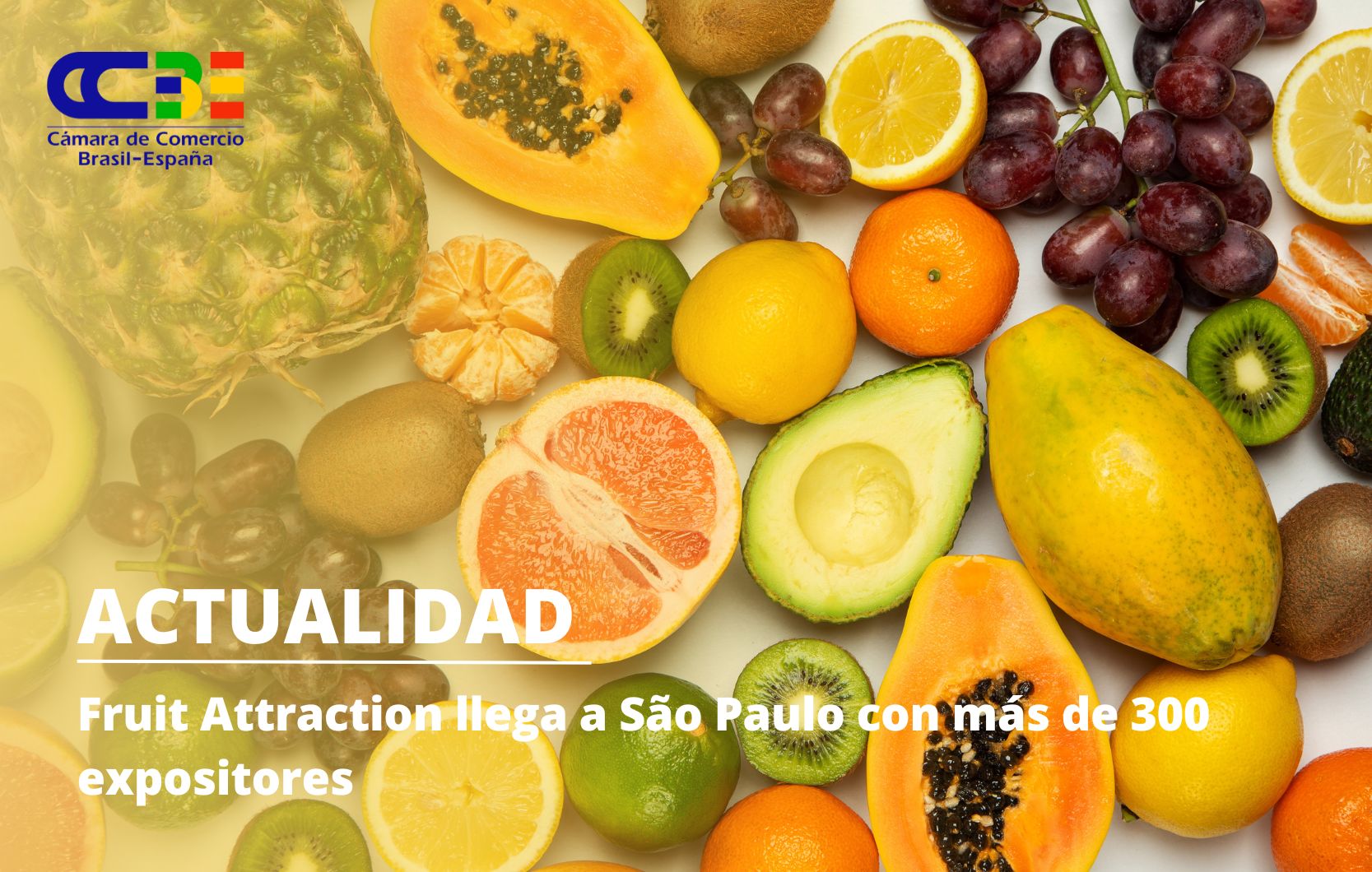 Fruit Attraction aterriza en São Paulo con más de 300 expositores confirmados