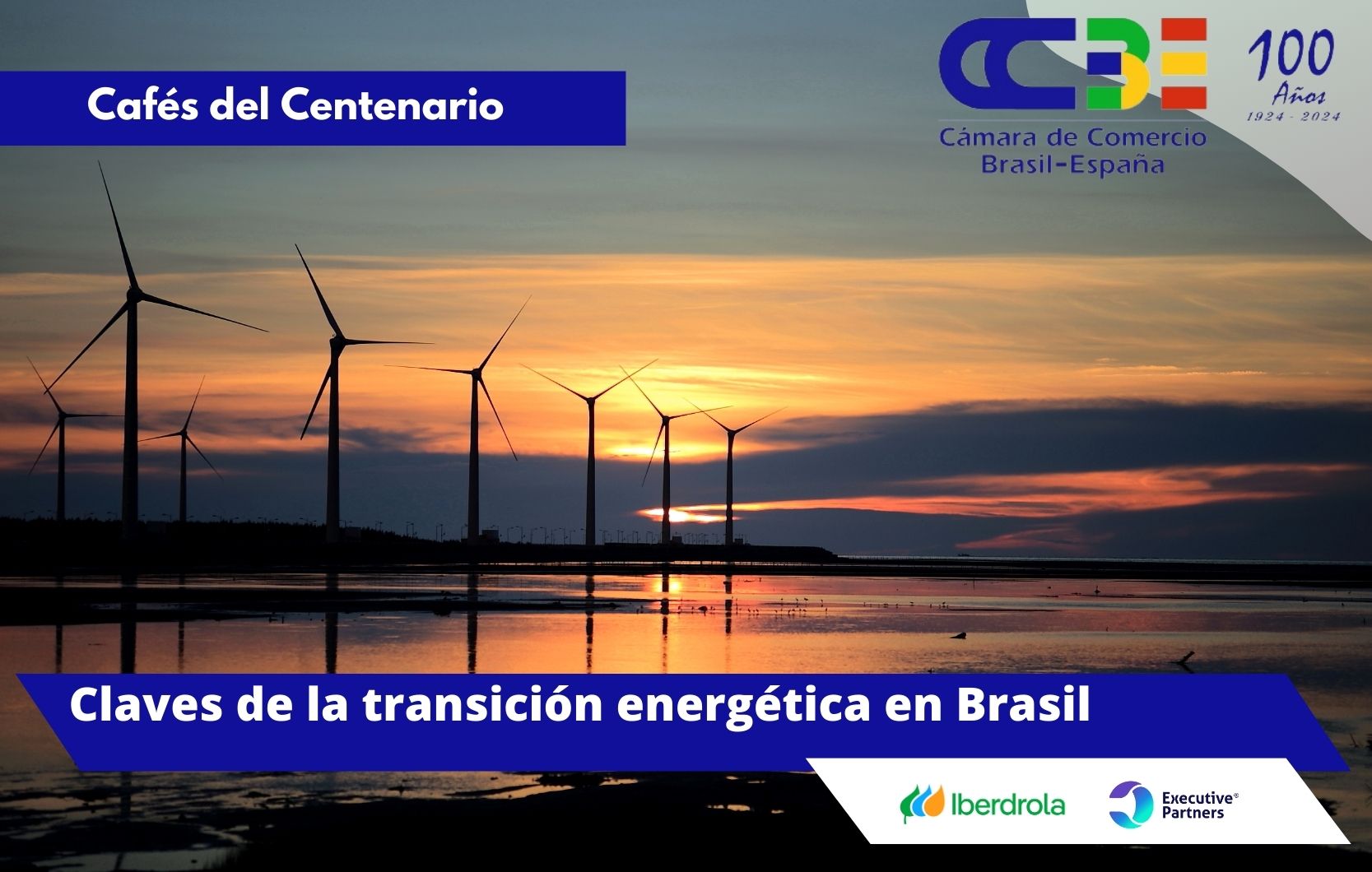 La CCBE analiza las claves de la transición energética en Brasil