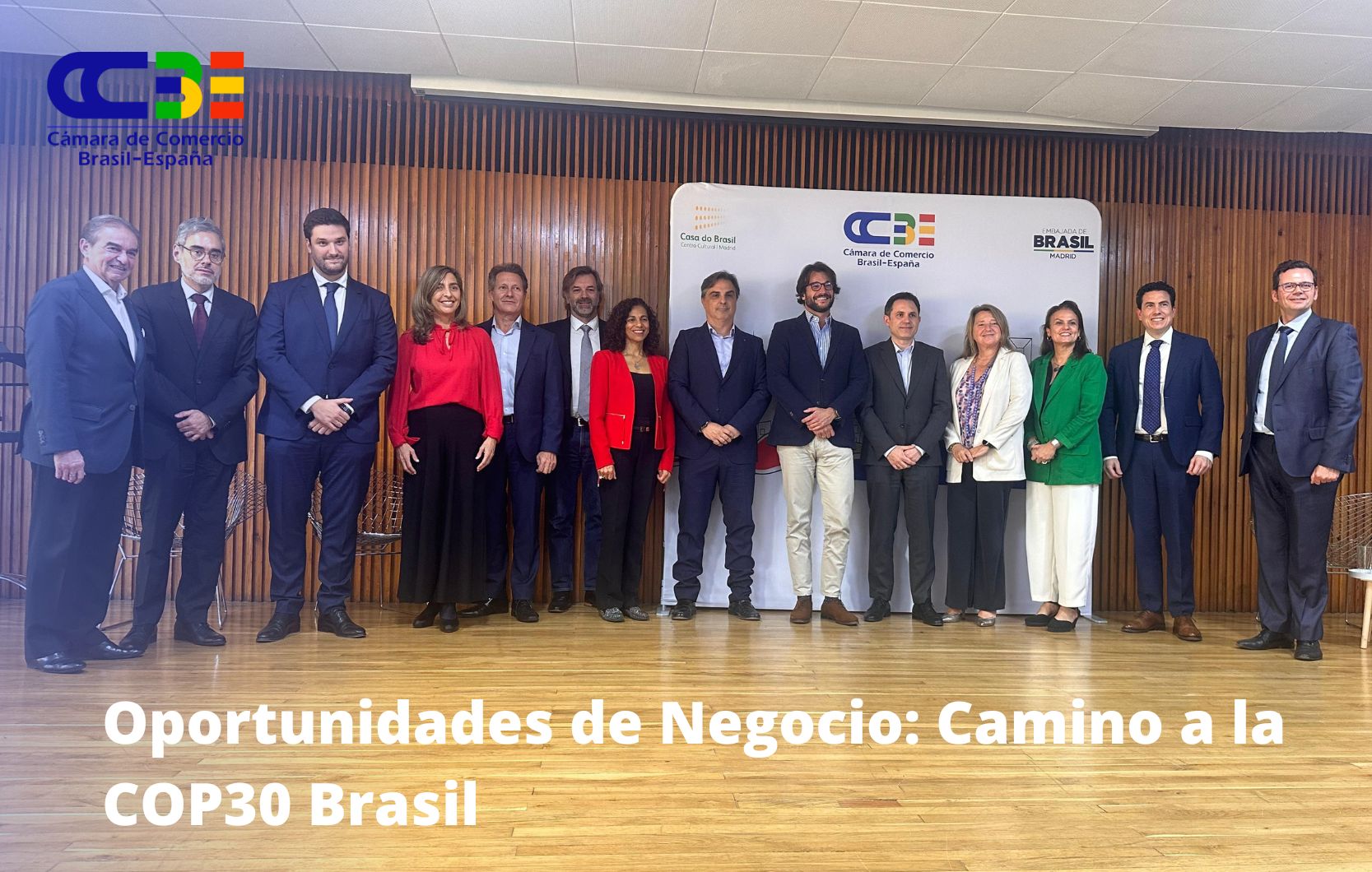Oportunidades de Negocio: Camino a la COP30 Brasil